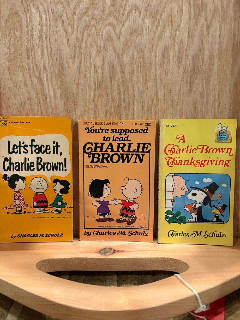 Charlie Brown Paperback Book Set - Vintage Cartoon Comics by Charles Schultz